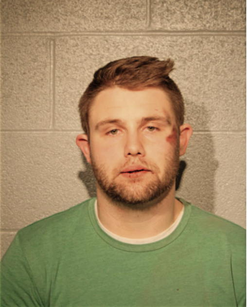 DAKOTA D YOUNG, Cook County, Illinois