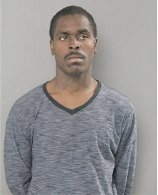 MICHAEL A ANDERSON, Cook County, Illinois