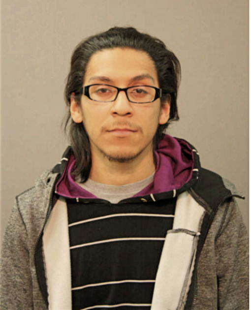 JULIO C ARCE, Cook County, Illinois