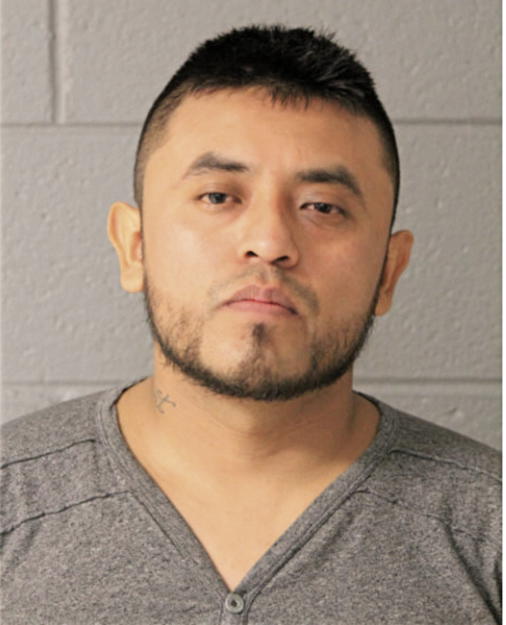 LUIS M BELMONT, Cook County, Illinois