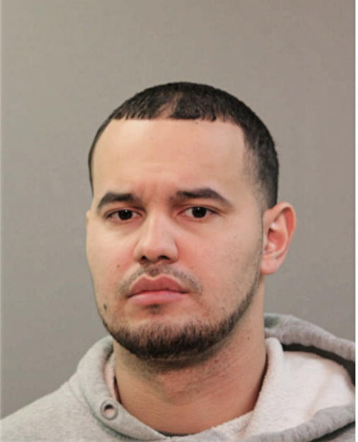 SEBASTIAN BORGES, Cook County, Illinois