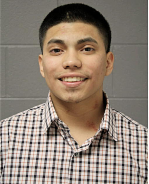 JUAN M BRAVO, Cook County, Illinois