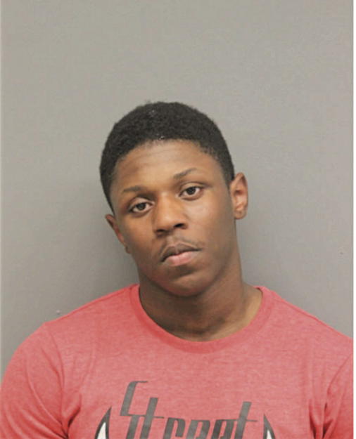 GREGORY D BROWN, Cook County, Illinois