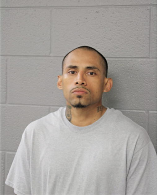 LUIS J CASTRO, Cook County, Illinois