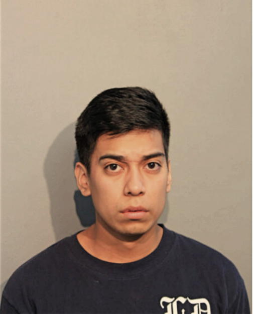 ALFREDO D CISNEROS, Cook County, Illinois