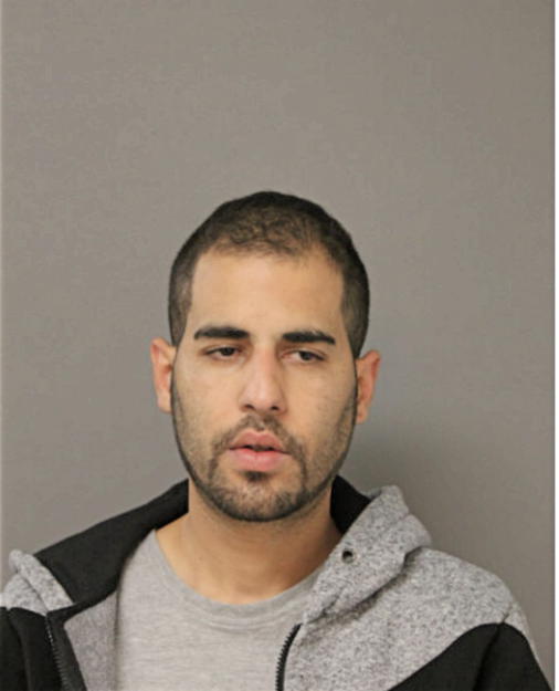 ESAM J DAJANI, Cook County, Illinois