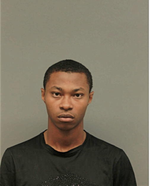 TIMOTHY J DOBINE, Cook County, Illinois
