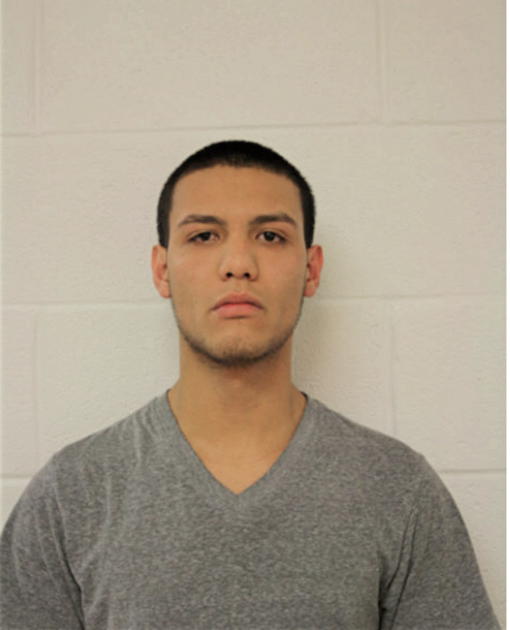 BRIAN FIGUEROA, Cook County, Illinois