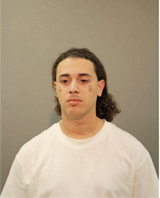 REYNALDO FLORES, Cook County, Illinois