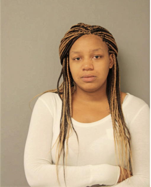 ERICA T K RAND, Cook County, Illinois