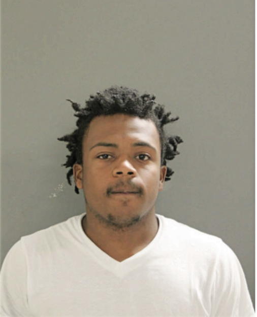 SEAN L KING, Cook County, Illinois