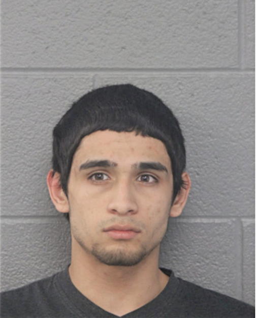 NATHAN A MARTINEZ, Cook County, Illinois