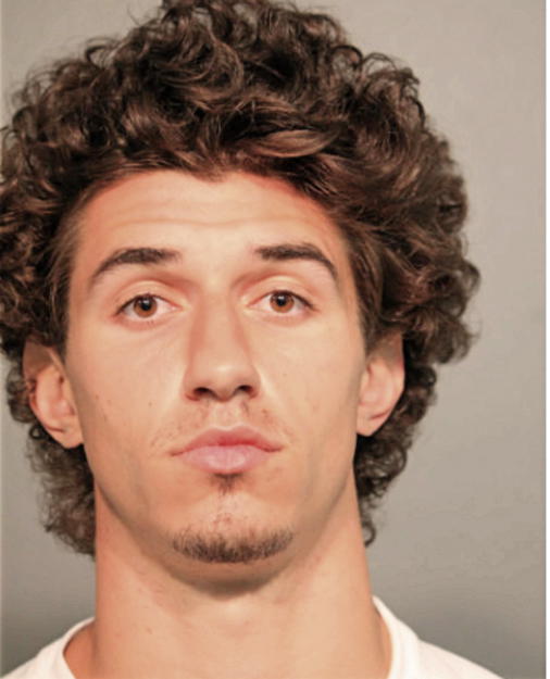 NATHAN J OTTO, Cook County, Illinois