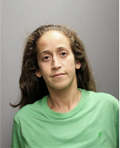 STEPHANIE PALAGGI, Cook County, Illinois