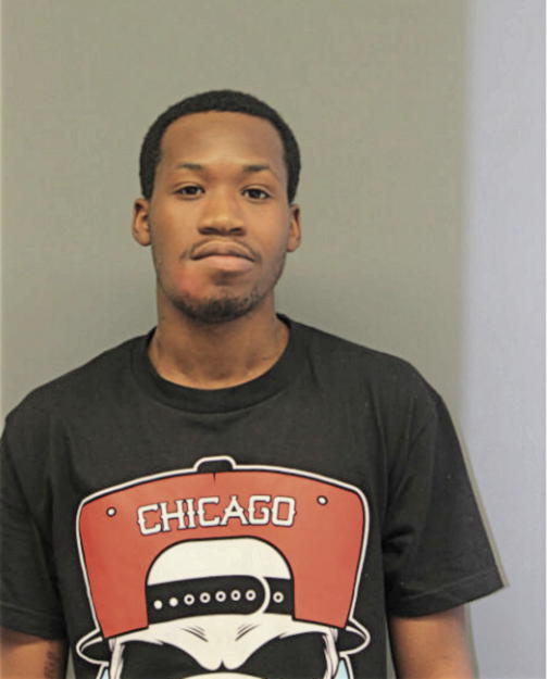 JOHNNY G PARRIS, Cook County, Illinois