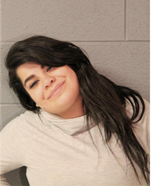 SONYA M PERELKA, Cook County, Illinois