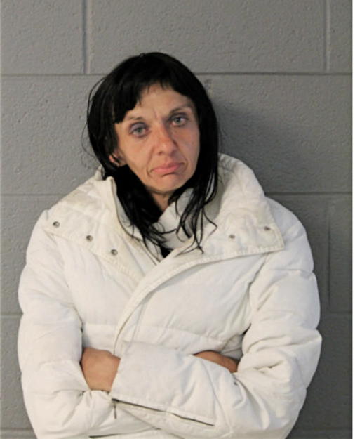 LOUISE A RHODES, Cook County, Illinois