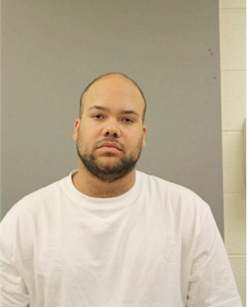 JESUS N RIVERA, Cook County, Illinois