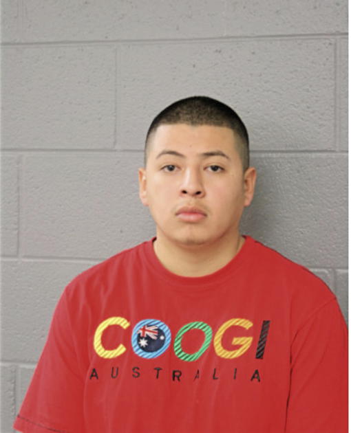 EFREN ROSALES, Cook County, Illinois