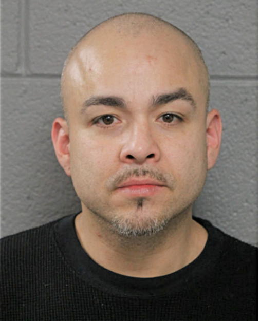 J JESUS SALCEDO, Cook County, Illinois