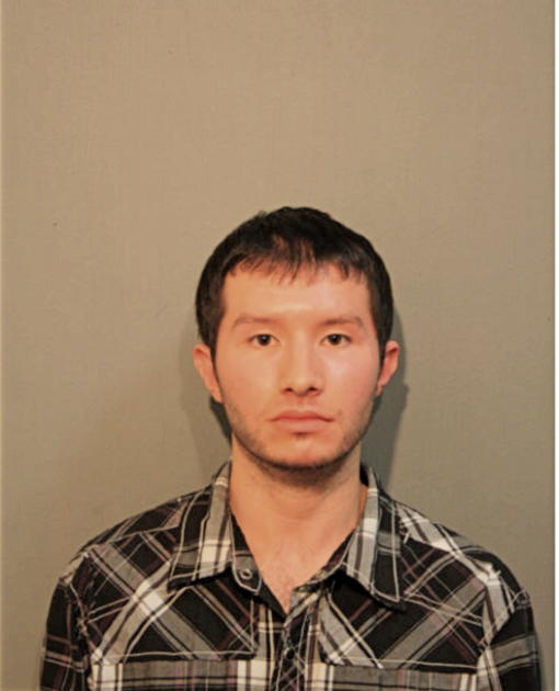ALEX R SWANSON, Cook County, Illinois