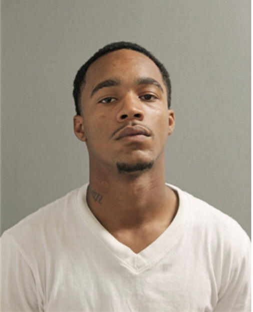 LOUIS D VALE, Cook County, Illinois