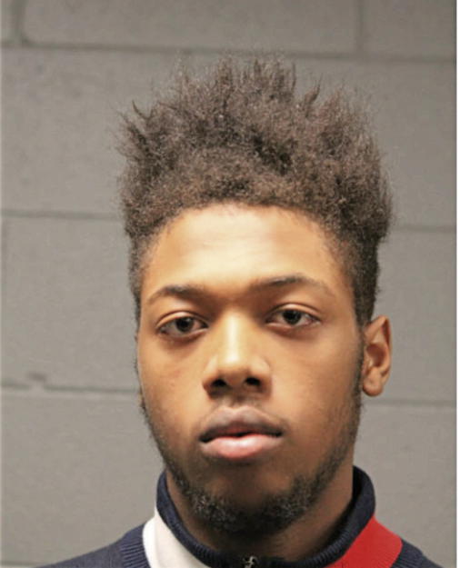 MICHAEL WILSON, Cook County, Illinois