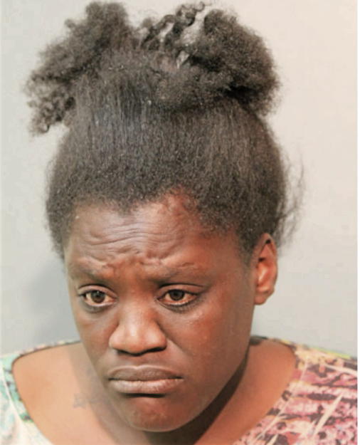 JOYCE S ADAMS, Cook County, Illinois