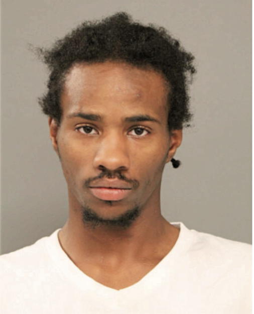 RAPHAEL S BELL, Cook County, Illinois
