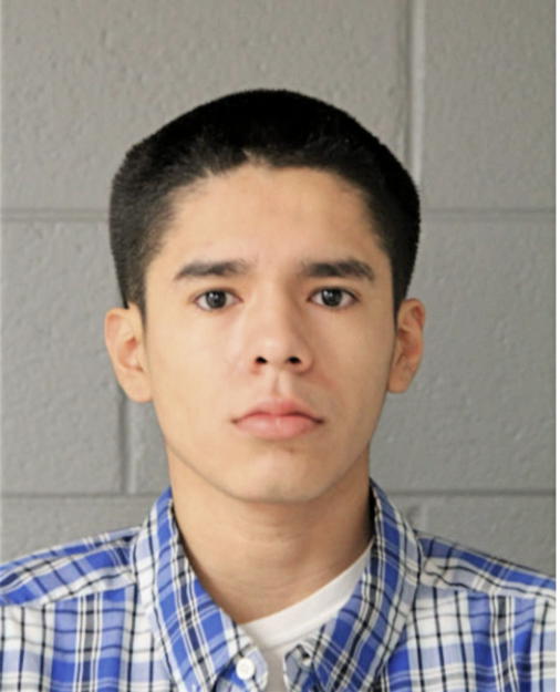 JUAN C CRUZ, Cook County, Illinois