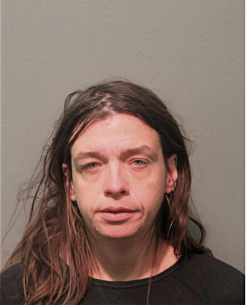 ELIZABETH ANN CURTIS, Cook County, Illinois