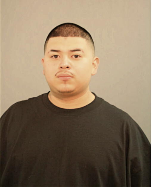 ROGELIO DELGADO, Cook County, Illinois