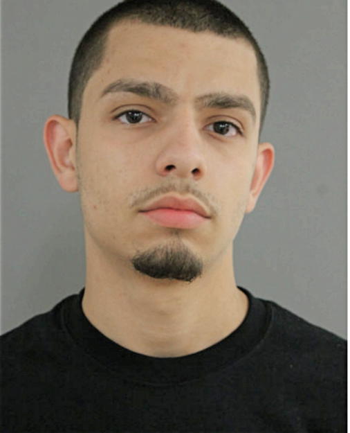 MARIO J FLORES, Cook County, Illinois