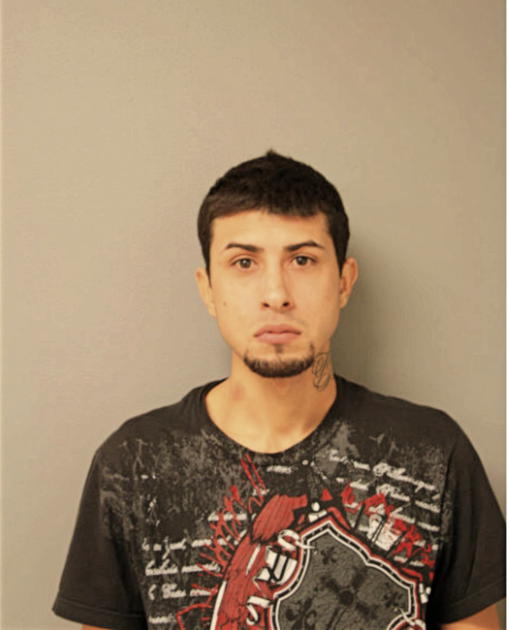 NOEL HERNANDEZ-MEDINA, Cook County, Illinois