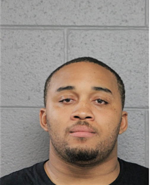 BRANDEN T HILDERBRAND, Cook County, Illinois