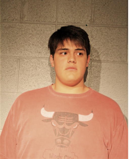 DAVID T JOHNSON, Cook County, Illinois