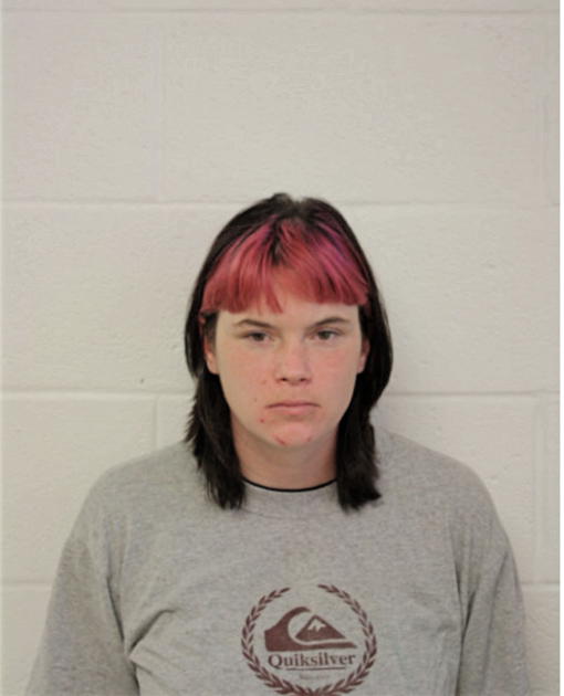 CARRIE L KINSLER, Cook County, Illinois
