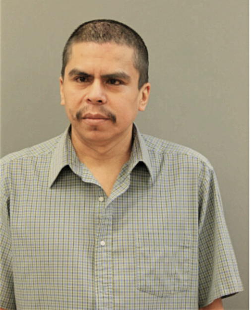 ROBERTO LAGUNAS, Cook County, Illinois