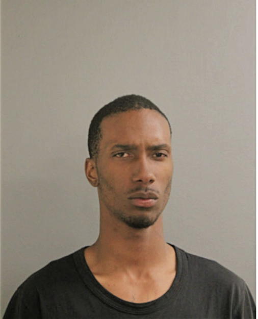 NIKESE D LEE, Cook County, Illinois
