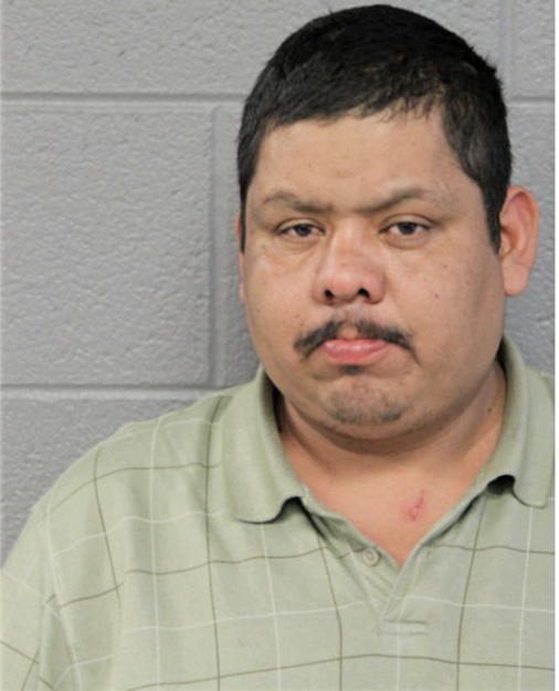 MARCO A MAYORGA, Cook County, Illinois