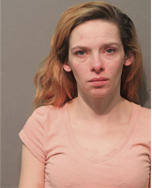 MARIAH L MCMEEN, Cook County, Illinois
