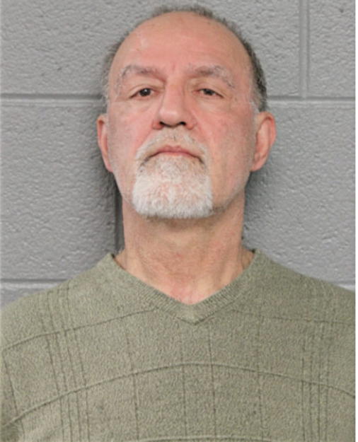 SEYEDREZA MINAEY, Cook County, Illinois