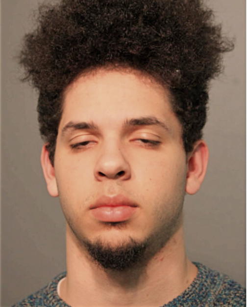 ANDREW PEREZ, Cook County, Illinois