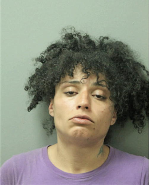 LANA S PERKINS, Cook County, Illinois