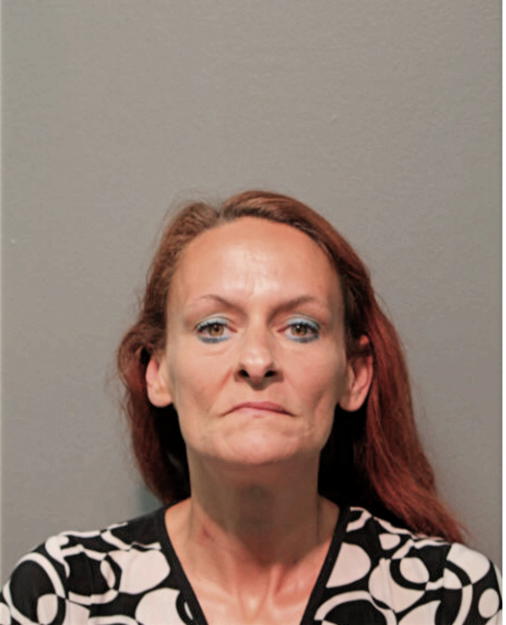 BRANDY M POWYSZYNSKI, Cook County, Illinois