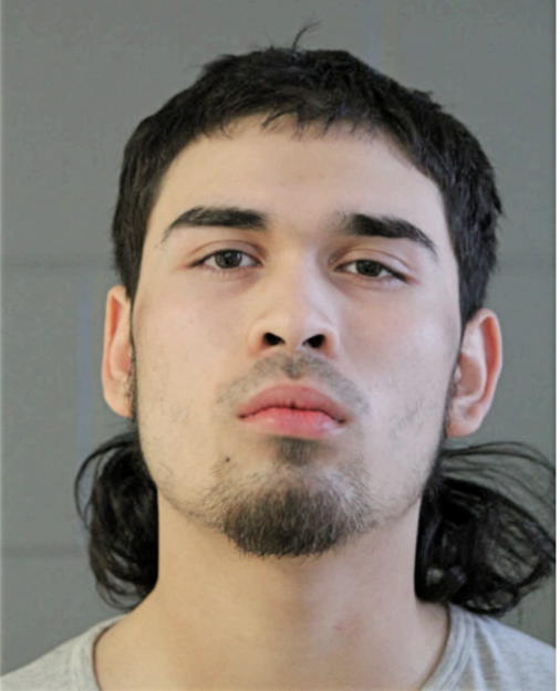 ISAIAH M RENTERIA, Cook County, Illinois