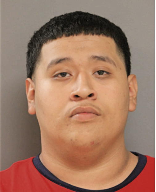 FRANSISCO J SALINAS, Cook County, Illinois