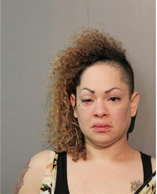 ERIKA M SANTIAGO, Cook County, Illinois