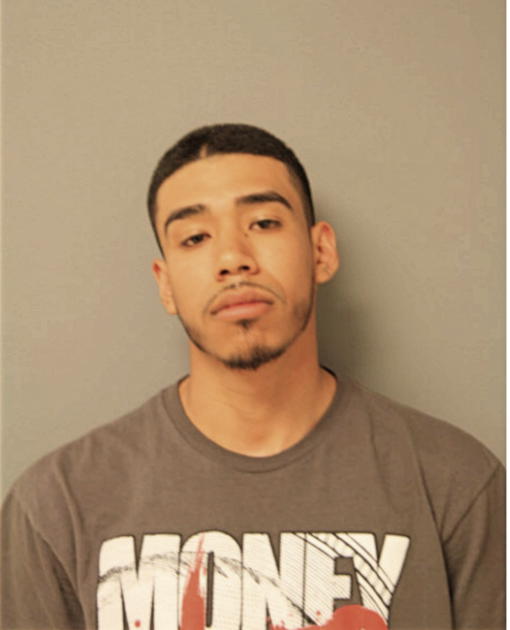 JULIO SILVA, Cook County, Illinois