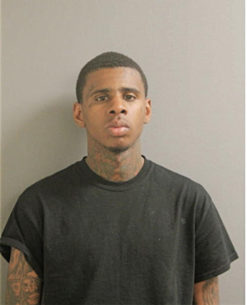 THOMAS L TAYLOR, Cook County, Illinois
